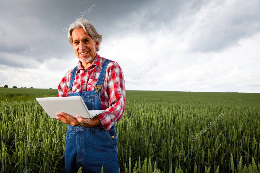 Farmer Selling His Crop Over The Internet
