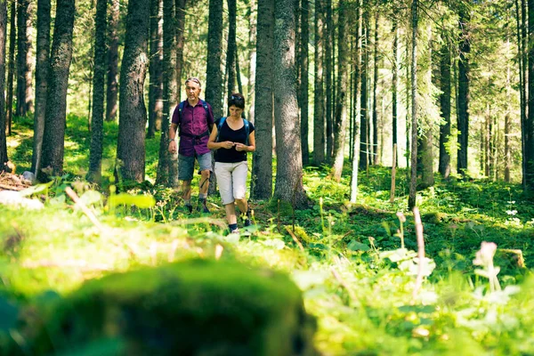 Caminhadas Seniores na Floresta — Fotografia de Stock