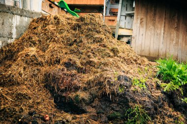 Büyük gübre yığını