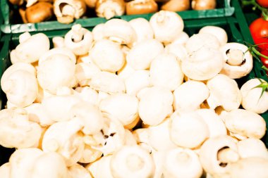 Süpermarkette mantar