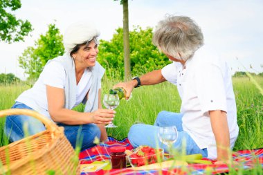 üst düzey iki piknik
