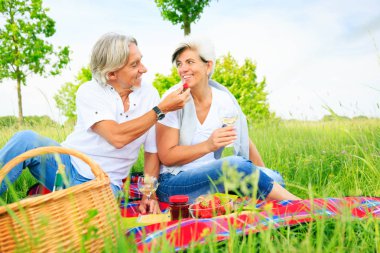 üst düzey iki piknik