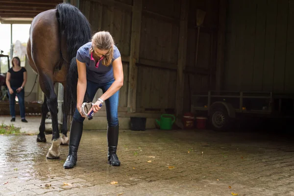 Mulher verificando cavalos Hooves — Fotografia de Stock