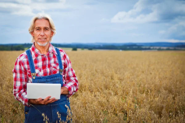 Rolnik stojący w polu zboże — Zdjęcie stockowe