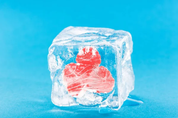 Замороженная малина внутри кубика льда — стоковое фото