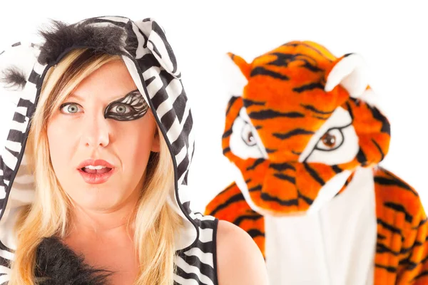 Tiger smygjakt på en zebra — Stockfoto