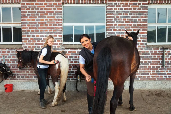 Menina e jovem mulher com seus cavalos — Fotografia de Stock