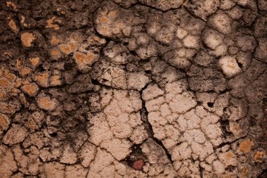 Duvar doku Fatehpur Sikri