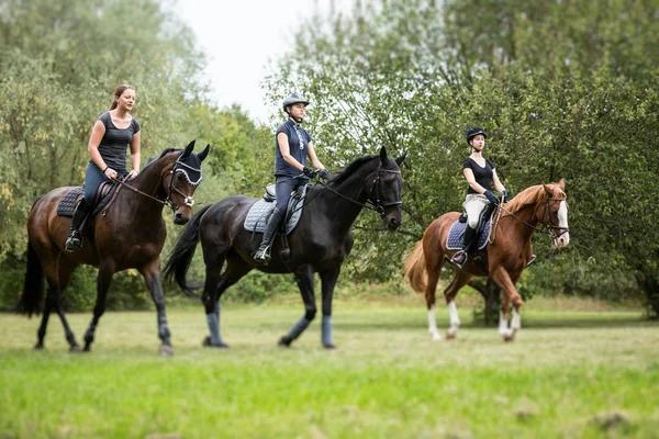 Friends Going for a Ride — стоковое фото