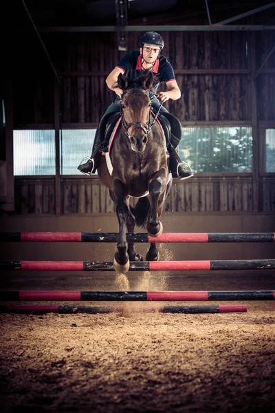 Salto a caballo en interiores — Foto de Stock