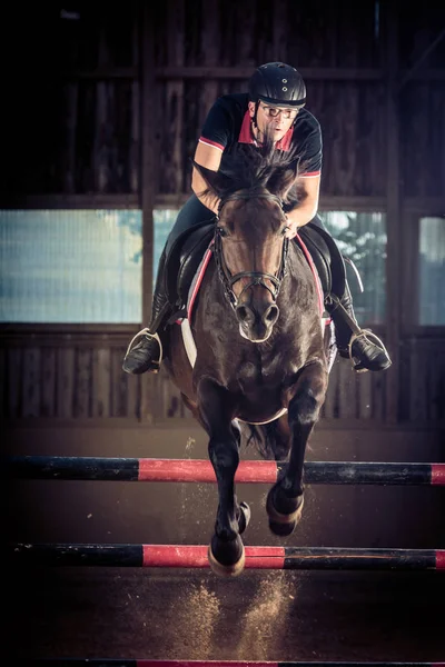 Salto a caballo en interiores — Foto de Stock