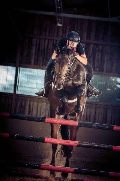 Salto de cavalo interior — Fotografia de Stock