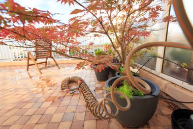 Sabah erken balkon