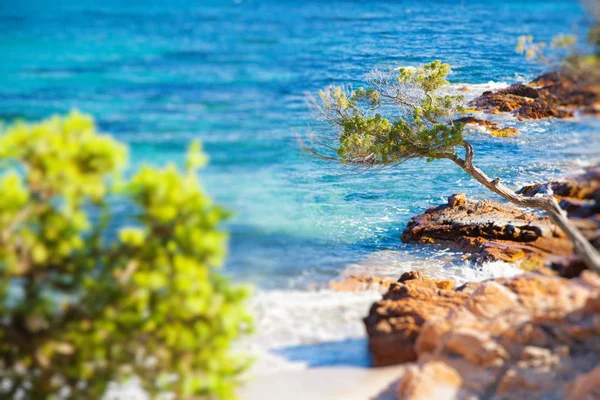 Praia da Córsega na Primavera — Fotografia de Stock