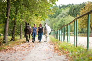 Arkadaş grubu onların at nalı