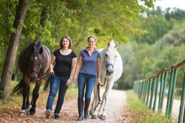Arkadaş grubu onların at nalı