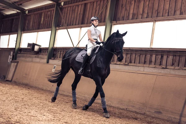 Menina jovem montando seu cavalo — Fotografia de Stock