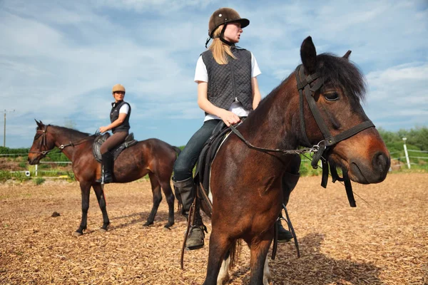 Menina e jovem mulher com seus cavalos — Fotografia de Stock