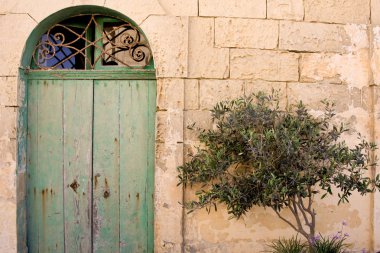 Eski kapı ve ağaç