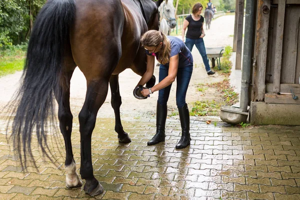 Mulher verificando seus cavalos cascos — Fotografia de Stock