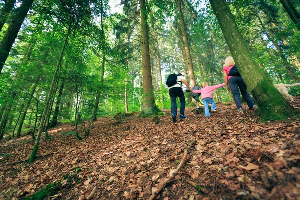 Família de quatro caminhadas — Fotografia de Stock