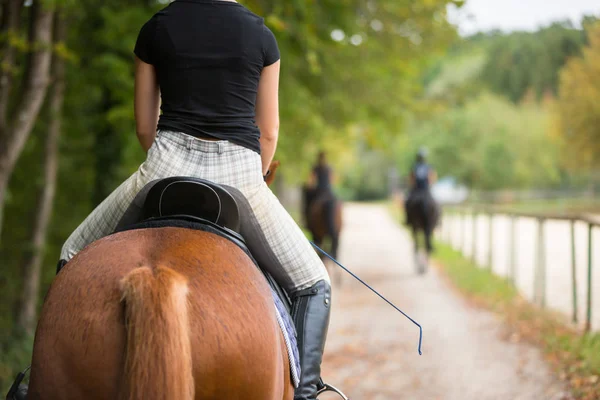 Jovem mulher montando seu cavalo — Fotografia de Stock