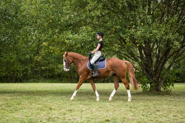 Jovem mulher montando seu cavalo — Fotografia de Stock