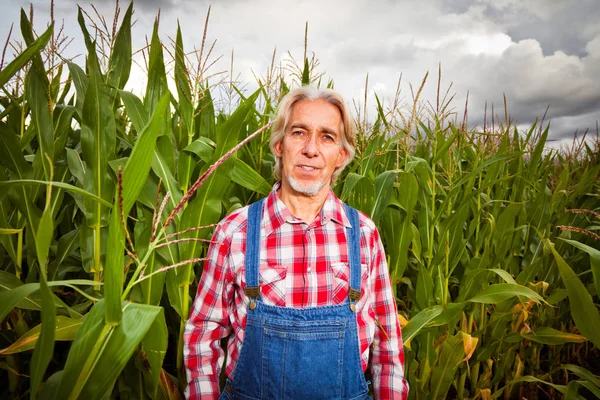 Rolnik stojący obok A kukurydza dziedzinie — Zdjęcie stockowe