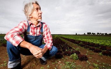 kendi alanında önünde oturan çiftçi