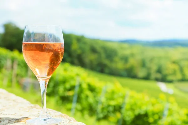 Wijnglas met wijngaard — Stockfoto