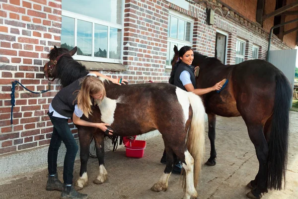 Menina e jovem mulher com seus cavalos — Fotografia de Stock