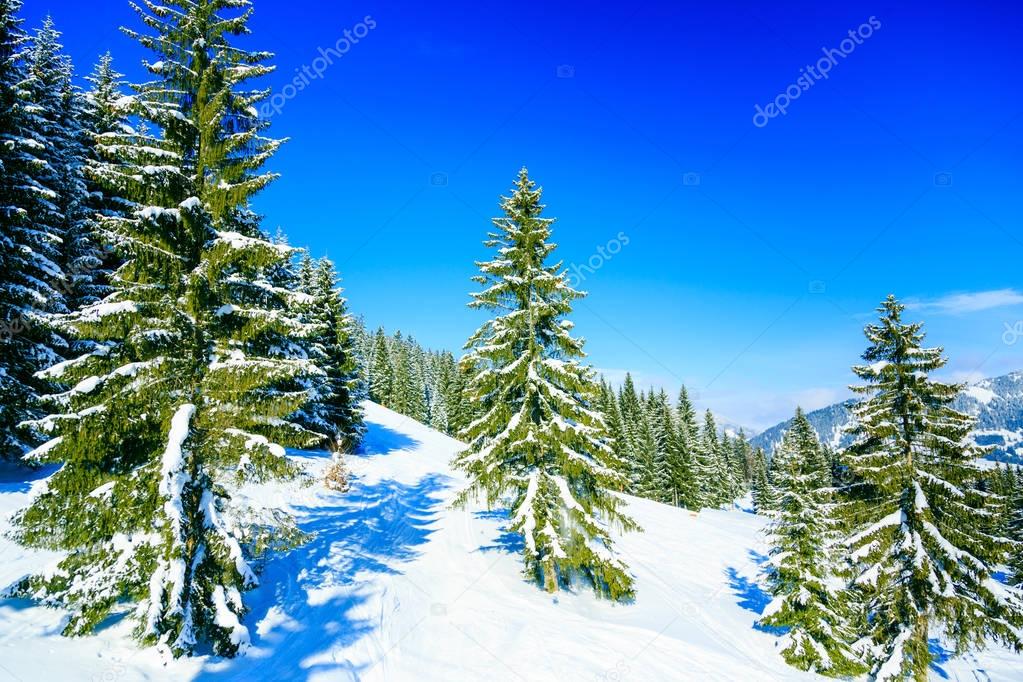 Alpine Landscape, Tannheimer Tal, Austria