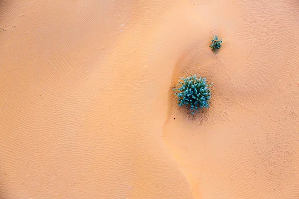 Dunas de arena desde arriba — Foto de Stock