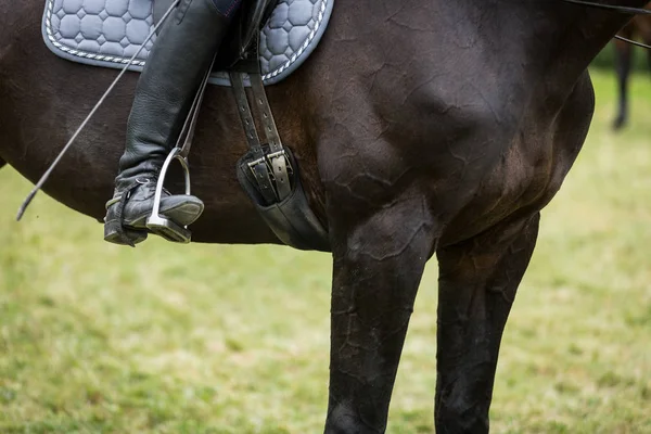 Jonge vrouw haar paard rijden — Stockfoto