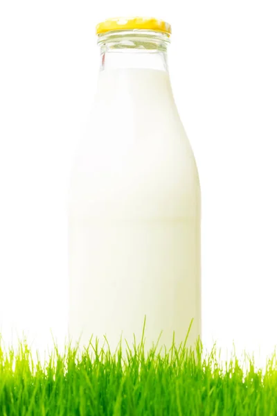Studioaufnahme von frischer Milch — Stockfoto