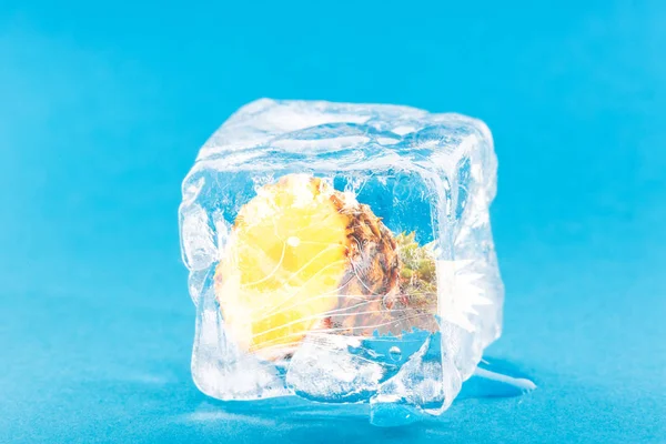 Ананас замерз внутри кубика льда — стоковое фото