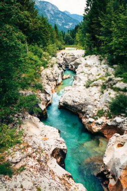 Dağ nehir Slovenya