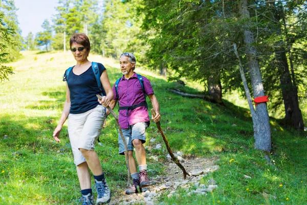 Actief senior koppel — Stockfoto