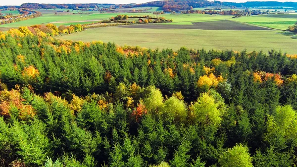 Вид на осінній ліс — стокове фото
