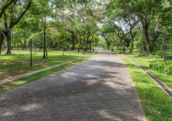 Clean brick pathway. — Stock Photo, Image