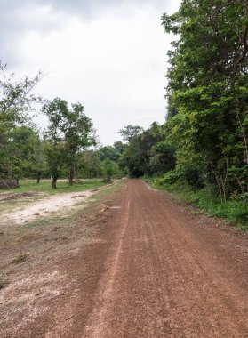 Küçük toprak yol.