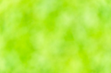 Yeşil bulanıklık blackground.