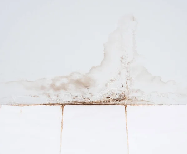 Water stain from the leak. — Stock Photo, Image