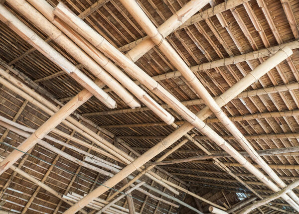 Thatch roof with the bamboo structure.