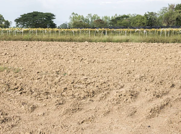 Pole půdy se přelévají z traktoru. — Stock fotografie