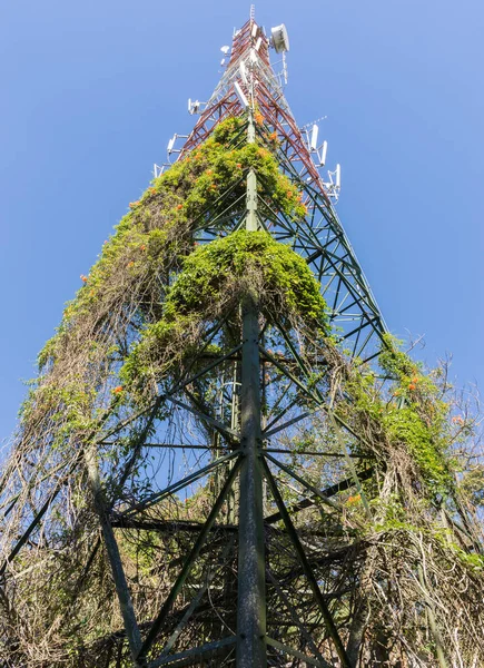 Large telecomunication tower with the plant. — Stock Photo, Image