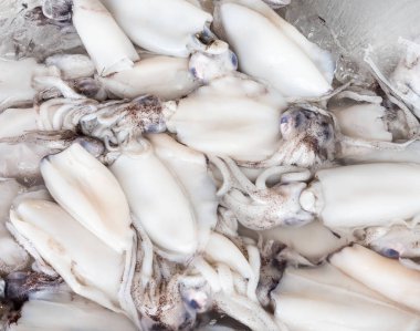 İçinde belgili tanımlık tepsi buzlu taze kabuklu deniz ürünleri.