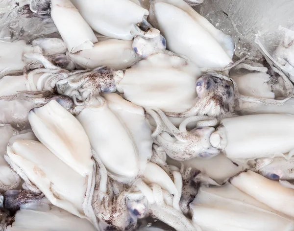 İçinde belgili tanımlık tepsi buzlu taze kabuklu deniz ürünleri.