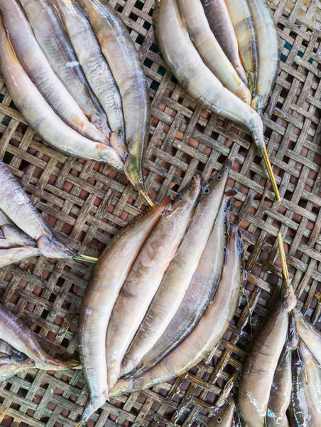 Świeże ryby kolczastych na suszone. — Zdjęcie stockowe