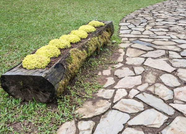 Log flower pot near the brick tile path. — Stock Photo, Image